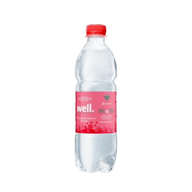 0,5L Well mineraalwater PET met statiegeld - Bruis