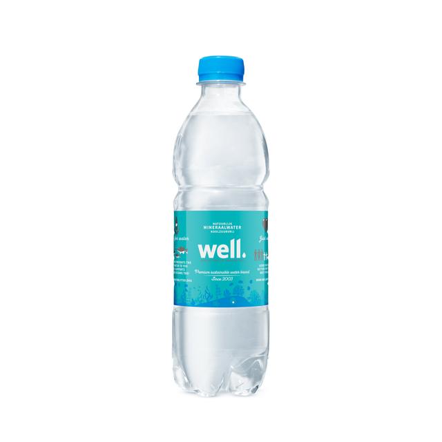 0,5L Well mineraalwater PET met statiegeld - plat