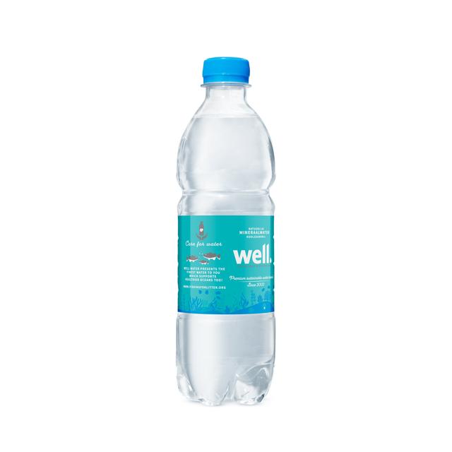 0,5L Well mineraalwater PET met statiegeld - plat