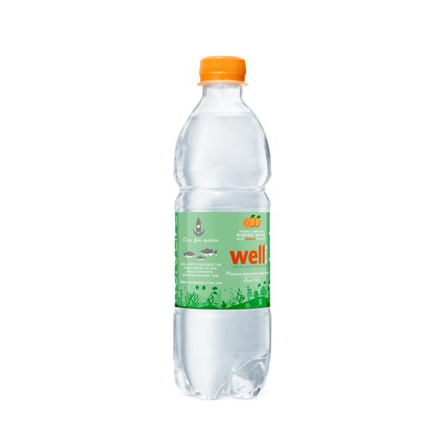 0,5L Well bruisend met sinaasappelsmaak