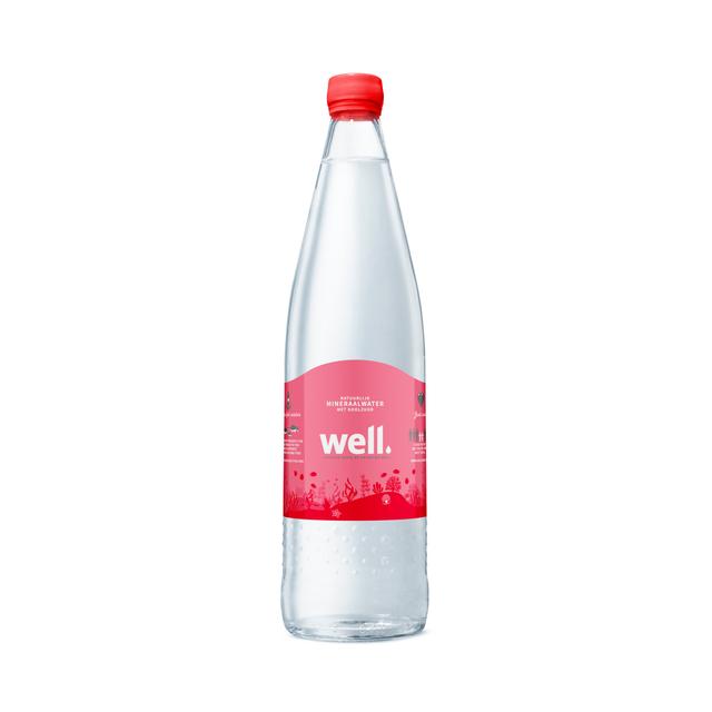750ml Well mineraalwater glas met statiegeld - bruis