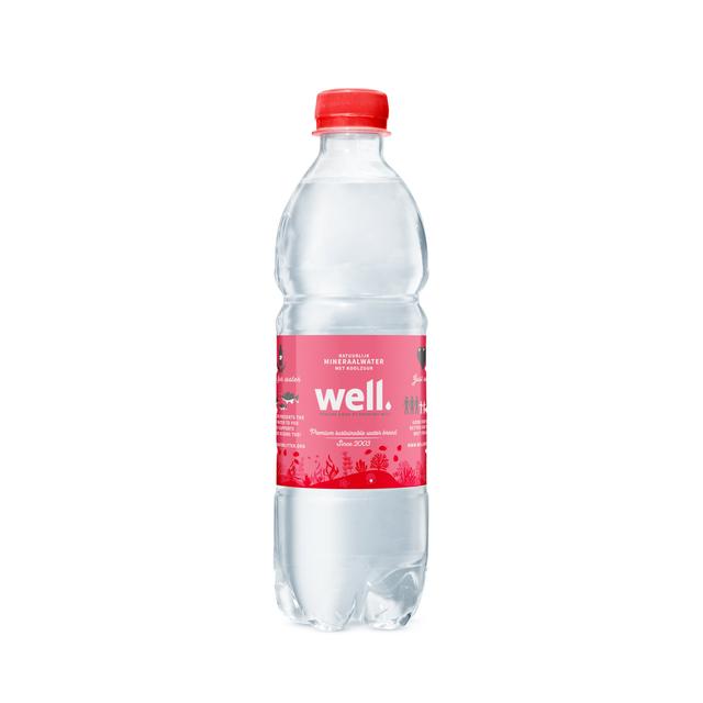 0,5L Well mineraalwater PET met statiegeld - Bruis