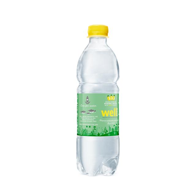 0,5L Well bruisend met citroensmaak