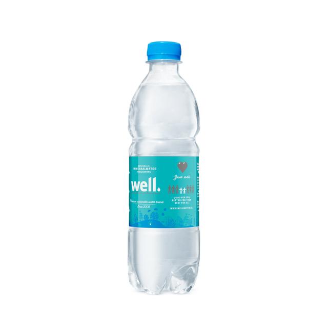 0,5L Well mineraalwater PET met statiegeld - plat