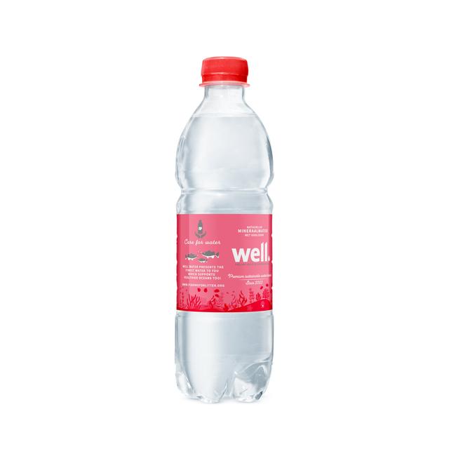 0,5L Well mineraalwater PET met statiegeld - Bruis